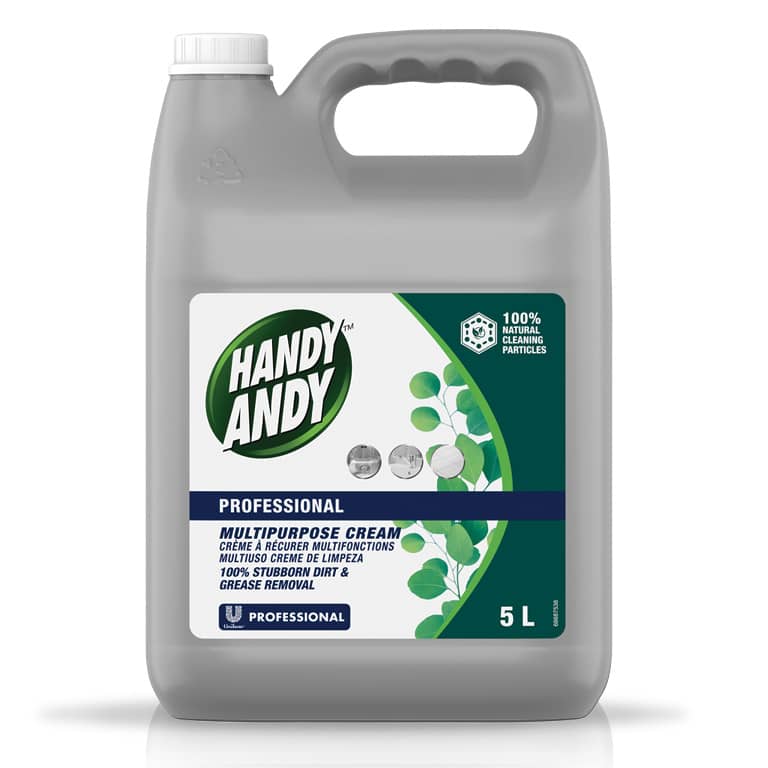 [DIVL7960] HANDY ANDY 5LT GF